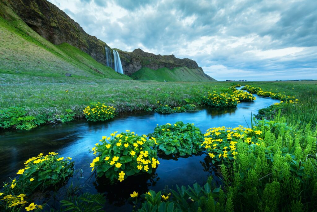 Sunrise on Seljalandfoss waterfall