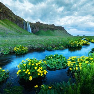 Sunrise on Seljalandfoss waterfall